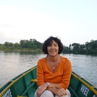 Judy Franks