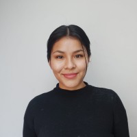 Dail Tanes Ticlla Vargas