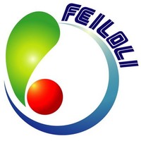 Feiloli Electronics