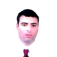 رضا المصرى