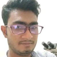 Md.Mobassir Alam