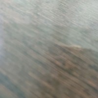Test Check