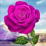 Anwar Shdooh