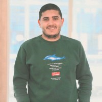 Fathi Adel