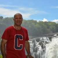 David Palmer