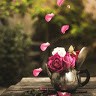 Firas Mohamad