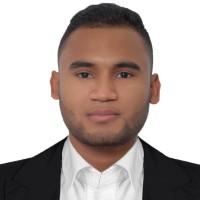 Luis David Ariza Narvaez