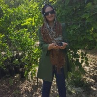 Maryam Alampoor