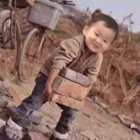 李树国