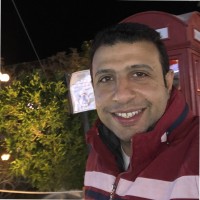wael karam