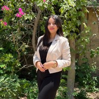 Alaa Elashry