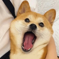 谢晓敏