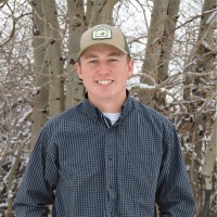 Chris Hereim