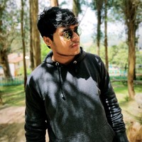 Yash Palriwal