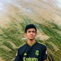Abdullah Al mamun Abir