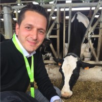 Sarper Özbek