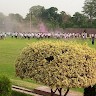 Afzaal Ali