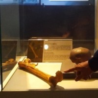 (SEDDIK) (MOHAMMED)