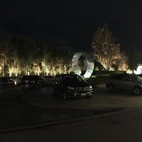 C Drive Chauffeurs