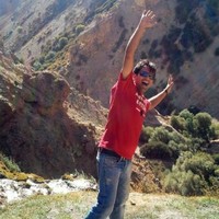 amir movahedi