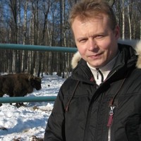 Konstantin Shabanov