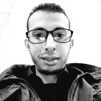 Hossam Salem