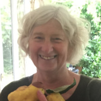 Diane Bunyan