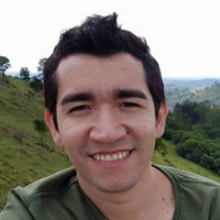 Marcelo F. Ribeiro
