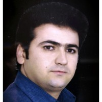 Javad Borji