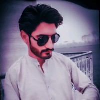 Muhammad Sheraz Ali