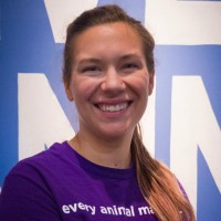 Alese Zeman