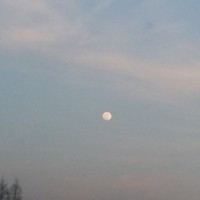 신영식