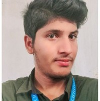 Praveen M