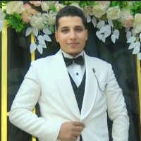 حسني الشرهاوى