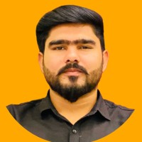 Bahadur ali