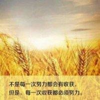 宋雁冰