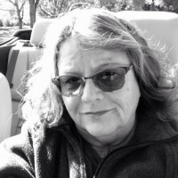 Robin Kraner