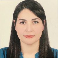 Sara Meshkin