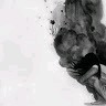 Abigail F.