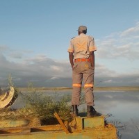Maluleke Given Rams