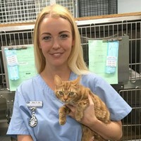 Dr Kayleigh Hill, Bvsc Mrcvs