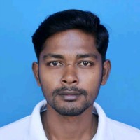 biswajit biswas