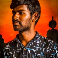 Vishveswaran P