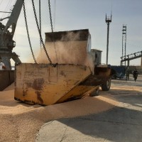 Agro Broker