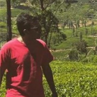 Charith goonewardene