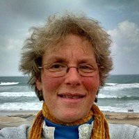 Liz Cohen