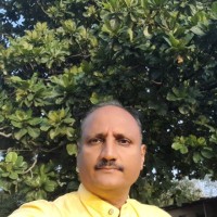Vikram Mane
