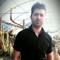 reza hashemy