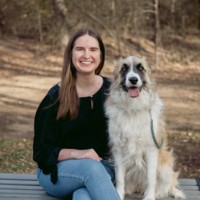 Kelly Klingberg