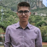 Néstor Murillo Barrón, Cpa